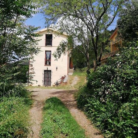Stellaria Casa Vacanze In Montagna Panorama Stupendo Sardegna Seùlo المظهر الخارجي الصورة