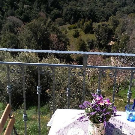 Stellaria Casa Vacanze In Montagna Panorama Stupendo Sardegna Seùlo المظهر الخارجي الصورة