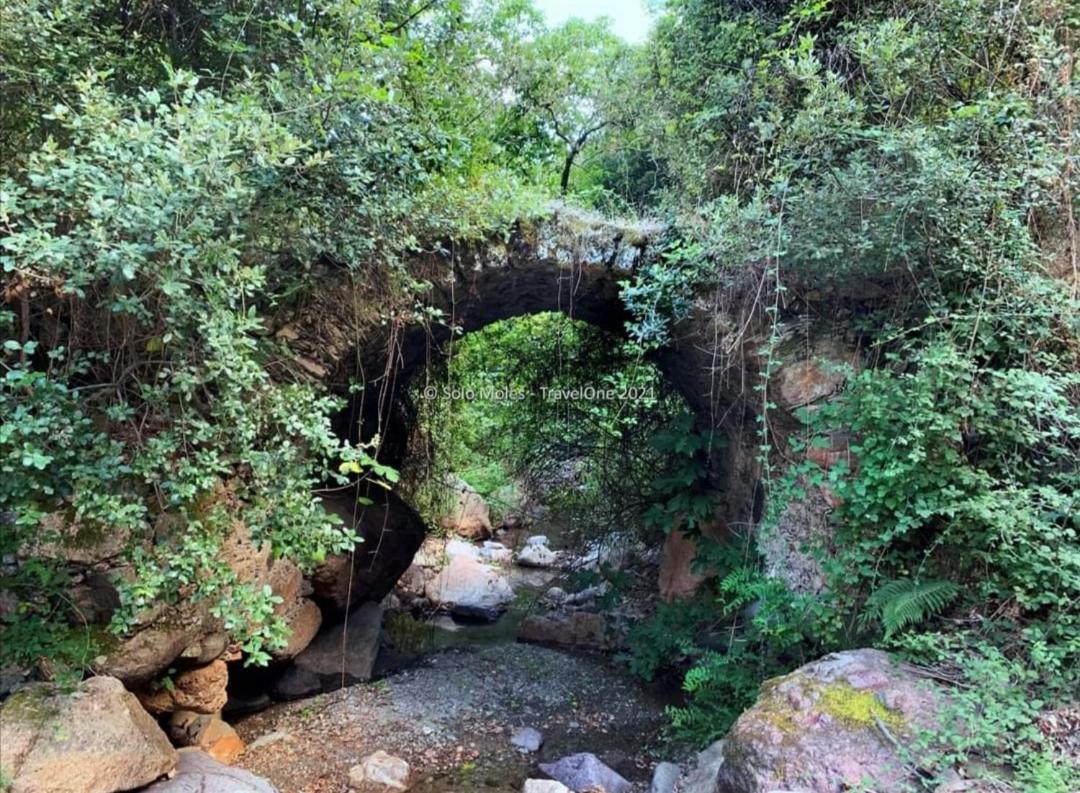 Stellaria Casa Vacanze In Montagna Panorama Stupendo Sardegna Seùlo المظهر الخارجي الصورة