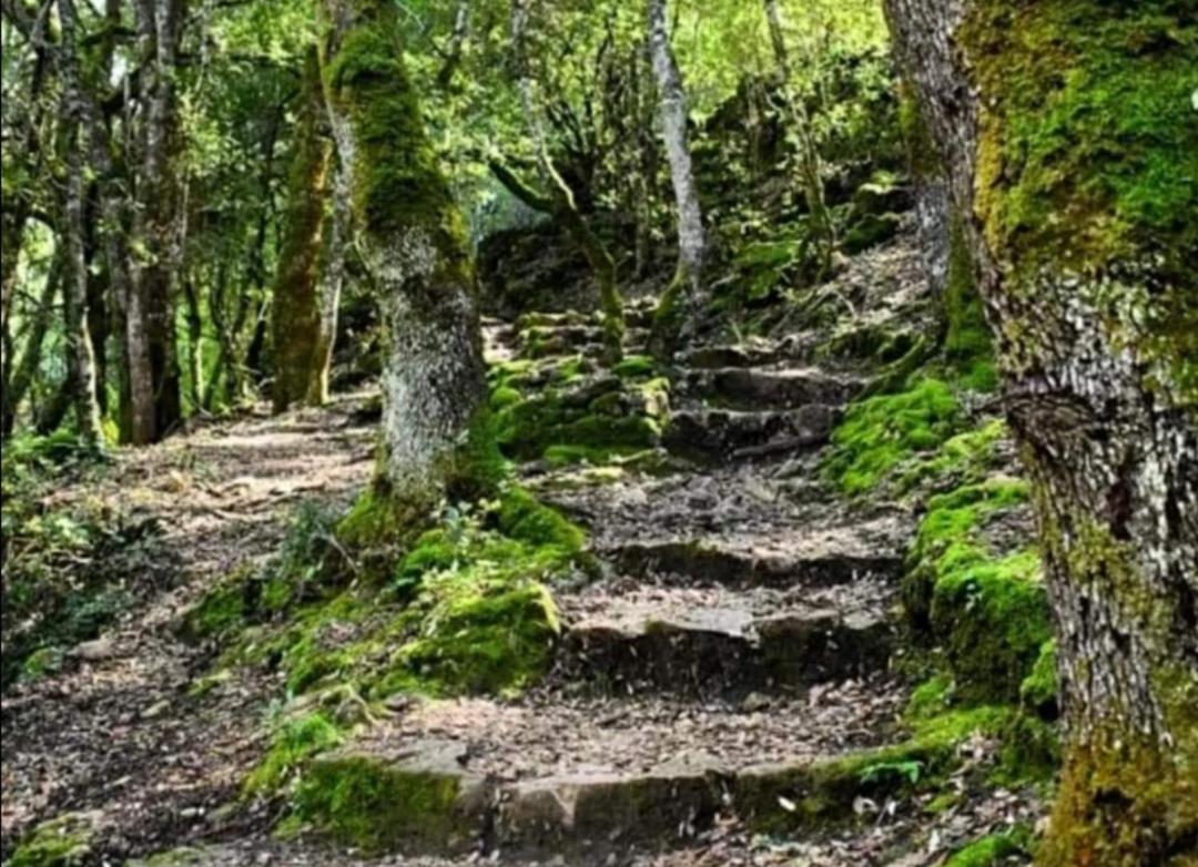 Stellaria Casa Vacanze In Montagna Panorama Stupendo Sardegna Seùlo المظهر الخارجي الصورة
