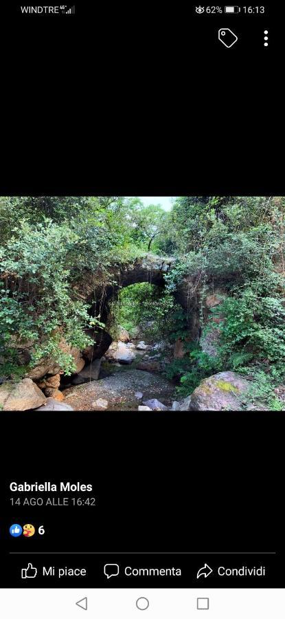 Stellaria Casa Vacanze In Montagna Panorama Stupendo Sardegna Seùlo المظهر الخارجي الصورة