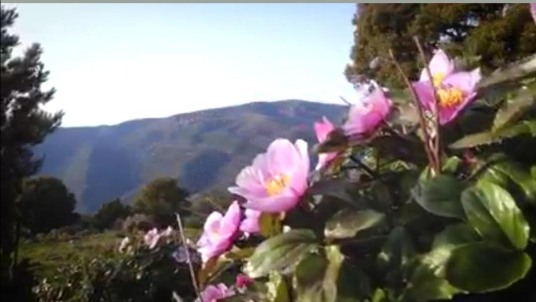 Stellaria Casa Vacanze In Montagna Panorama Stupendo Sardegna Seùlo المظهر الخارجي الصورة