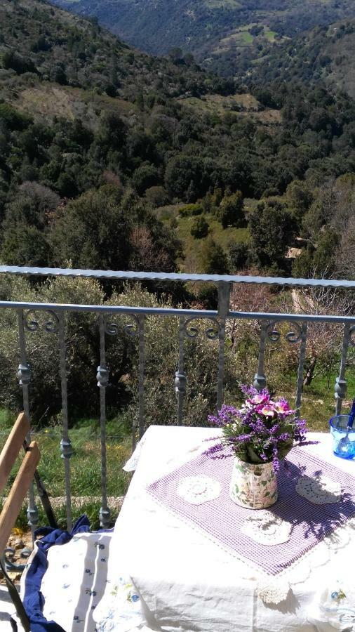 Stellaria Casa Vacanze In Montagna Panorama Stupendo Sardegna Seùlo المظهر الخارجي الصورة
