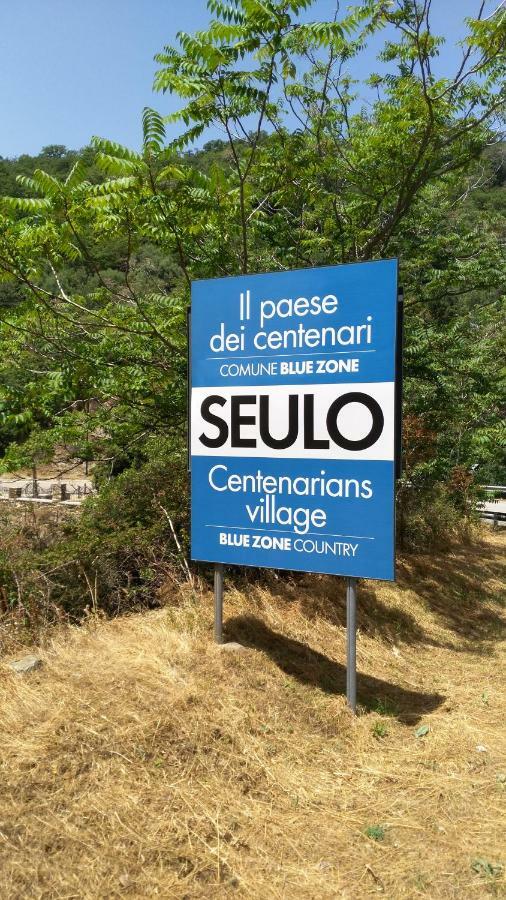Stellaria Casa Vacanze In Montagna Panorama Stupendo Sardegna Seùlo المظهر الخارجي الصورة