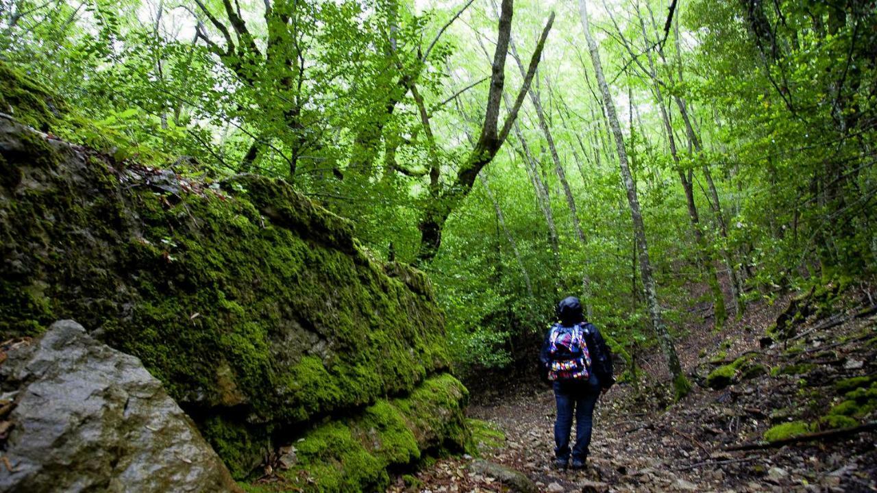 Stellaria Casa Vacanze In Montagna Panorama Stupendo Sardegna Seùlo المظهر الخارجي الصورة